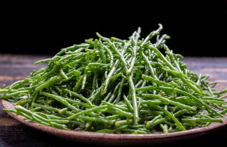 salicornia