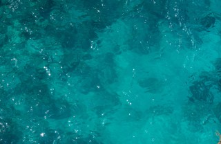 film mare