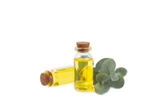 tea tree oil 