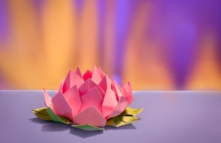 Fior di loto fai da te