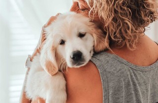 pet therapy pet therapy