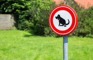 deiezioni cane deiezioni cane