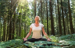 Forest bathing Forest bathing