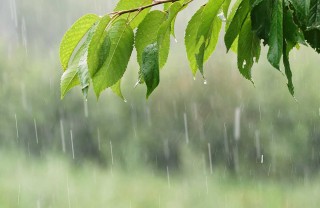 poesie dedicate alla pioggia