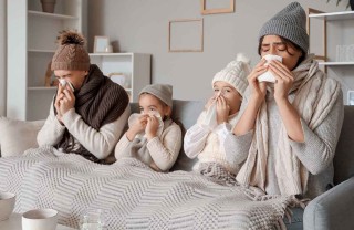 influenza 2024-2025 influenza 2024-2025