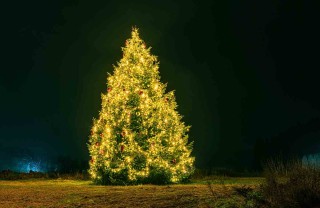 albero di Natale albero di Natale
