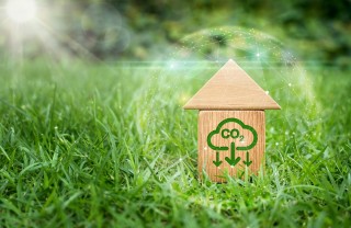 casa green casa green