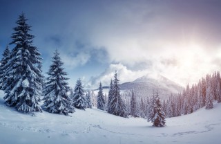 giornata mondiale neve frasi, giornata mondiale neve, frasi neve