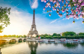Francia Francia