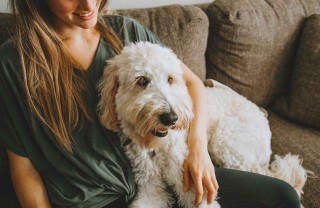 Come si diventa pet sitter