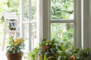 Pro e contro delle case in legno