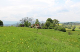 Vado a vivere in campagna