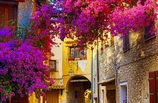 Recensioni di viaggi: un autunno in alta Provenza