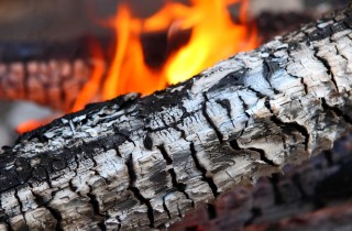 Come usare la cenere del camino