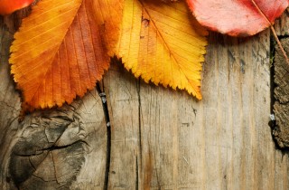 L'autunno in Italia