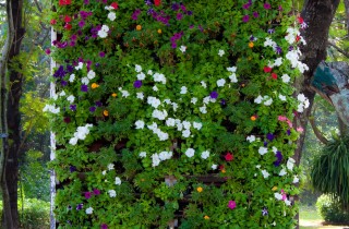 Arredo ‘verticale’ con piante e fiori