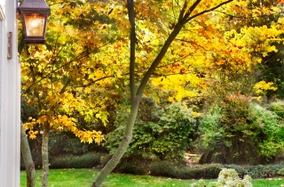 Fai sbocciare l'autunno