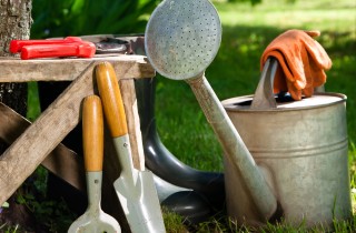 Gli indispensabili in giardino