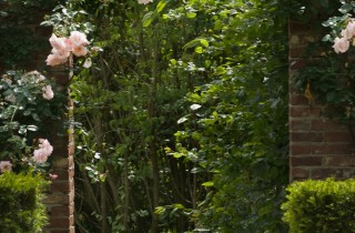 Il giardino decorativo verticale