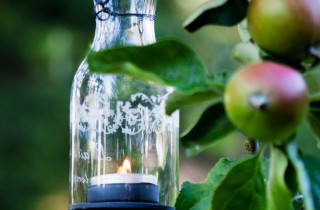 L'orto e le fasi lunari