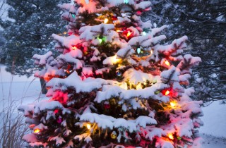 Sognare addobbi natalizi: bisogni celati dietro i sogni