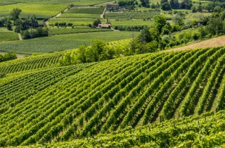 5 destinazioni da sogno in Italia per le tue vacanze a settembre