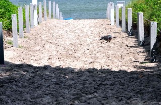 Dove andare in vacanza a Settembre?  