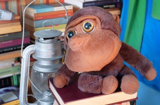 Come organizzare la libreria di casa