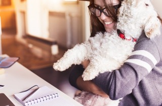 Alleati a 4 zampe: gli animali contro stress e malattie