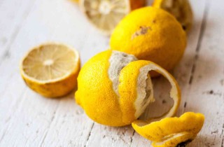 Rimedi naturali contro le mosche: come allontanarle