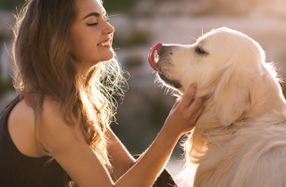 4 consigli per preparare una vacanza pet-friendly