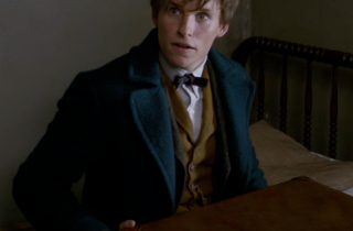 Harry Potter: 5 cose che non sapevi sulla saga e i suoi prequel