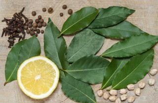 La ricetta della tisana all'alloro contro l'indigestione