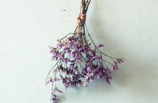 Come essiccare i fiori, le tecniche e i consigli utili