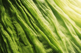 Pantone 2017 Greenery: come inserire nel look il colore dell'anno