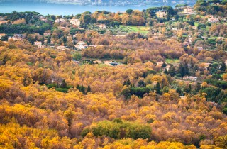 Alla scoperta dei Castelli Romani