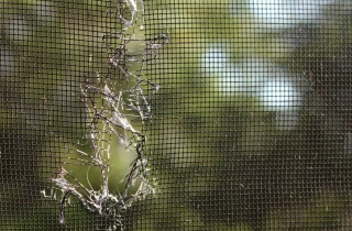 Come aggiustare un buco nella zanzariera con un filo