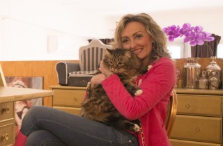 Ho creato un hotel 5 stelle per gatti: Cat Suite Home®