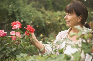 Cosa fare nel tempo libero in estate a 60 anni