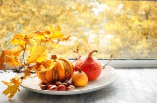 Addobbi autunnali per finestre, 7 idee facili e graziose