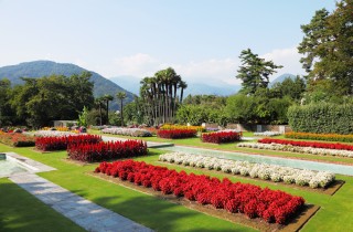 Le 5 fioriture più belle d’Italia