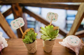 Bomboniere matrimonio con piantine grasse e bulbi di fiore