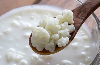 10 migliori alimenti probiotici per perdere peso