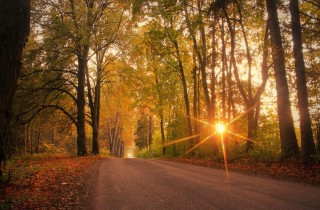 Equinozio d’autunno, le frasi da cui farsi ispirare