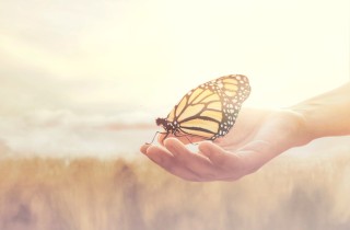 Festa dei morti, 13 frasi belle per commemorare i defunti