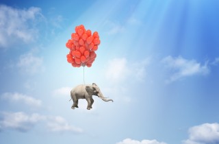 Sognare elefanti: il significato di questa immagine onirica