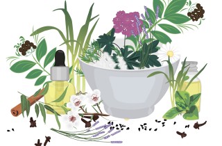 Le favolose proprietà dell’olio essenziale di Ravintsara