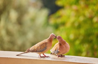 5 segnali che hai trovato veramente la tua anima gemella