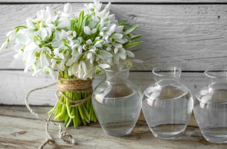 Fiori da regalare a San Valentino: 5 alternative alle rose rosse