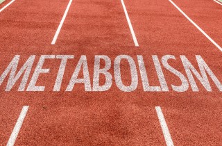 Metabolismo basale e totale, quali sono le differenze